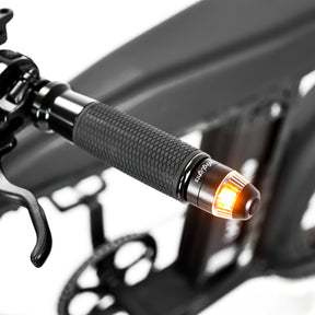 Turn Signals