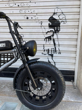 Fat bike wheel covers/ windcoins for 20x4 tires